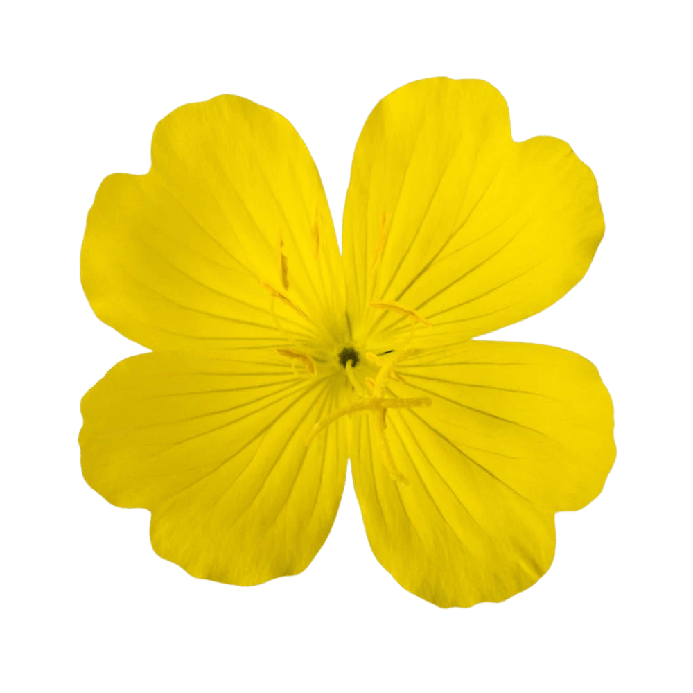 Alt image
