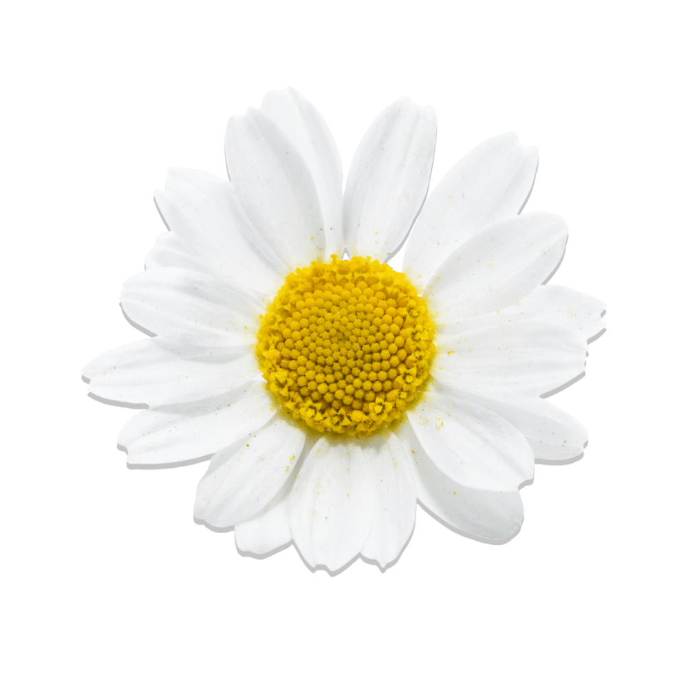 Alt image
