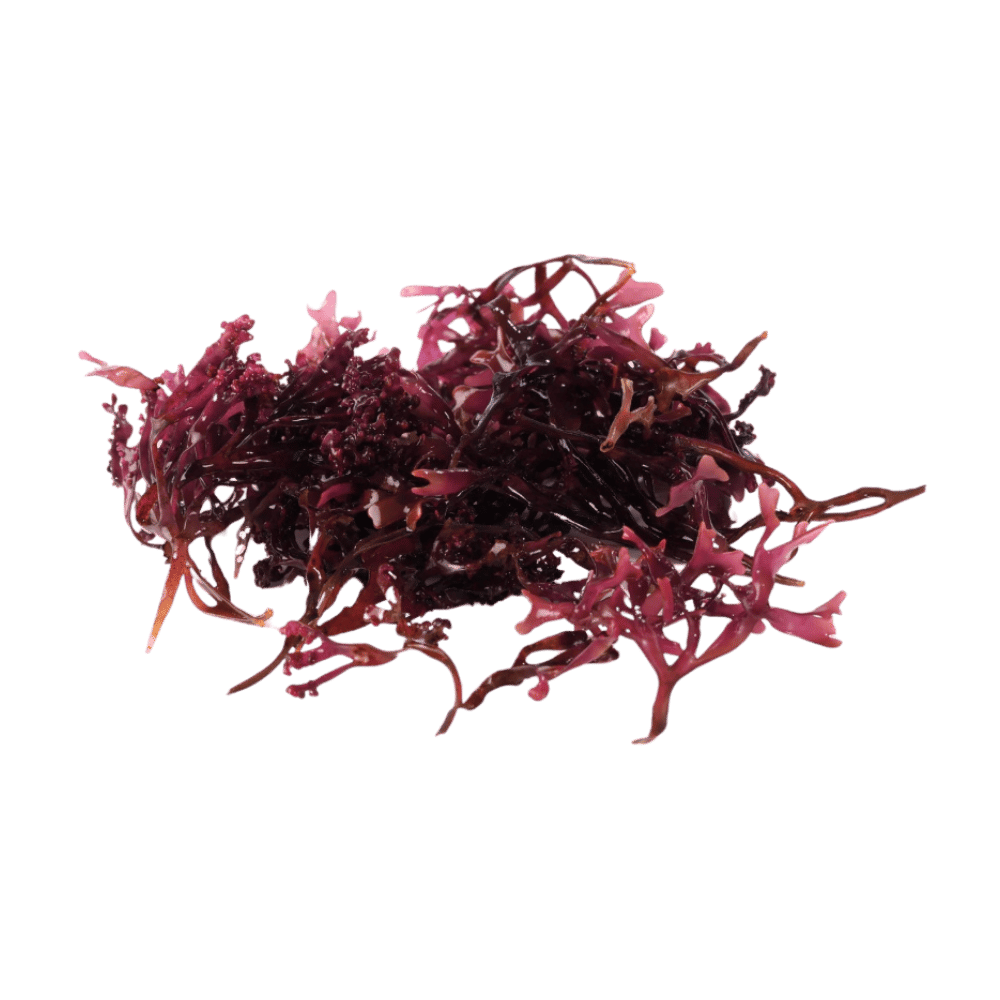 Alt image